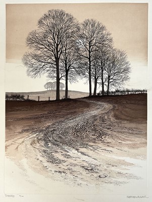 Lot 92 - Kathleen Caddick (b. 1937) etching and aquatint, 'Treeridge', pencil signed, 72/200, 42cm x 31cm, with mount unframed
