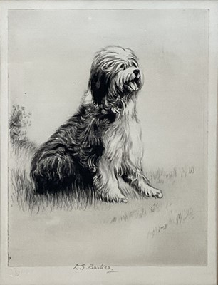 Lot 77 - Kathleen Frances Barker (1901-1963) pencil signed etching, Old English Sheepdog, blind stamped