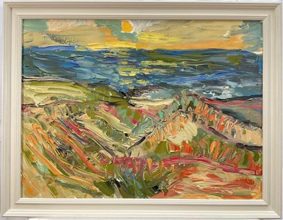 Lot 160 - Annelise Firth (b. 1961) oil on canvas, Early Evening Sun Skagen, signed and dated 2025 verso, 45cm x 60cm, framed