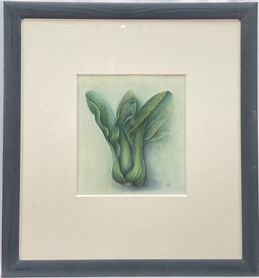 Lot 109 - Jennifer Howard, watercolour, Pak Choi, 20cm x 19cm, signed with initials, mounted in glazed frame
