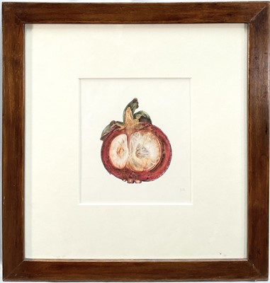 Lot 110 - Jennifer Howard, watercolour, Pomegranate, 18cm x 16cm, signed with initials, mounted in glazed frame