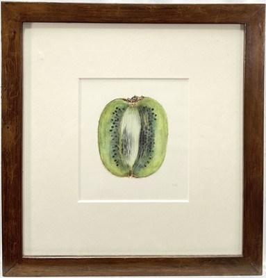 Lot 111 - Jennifer Howard, watercolour, Kiwi, 18cm x 16cm, signed with initials, mounted in glazed frame