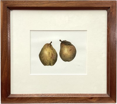 Lot 112 - Jennifer Howard, watercolour, Pears, 17cm x 23cm, signed with initials, mounted in glazed frame