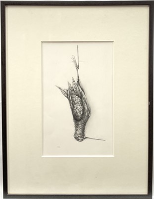 Lot 113 - Jennifer Howard, graphite on paper, Woodcock, signed with initials, 32cm x 20cm, mounted in glazed frame