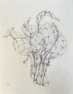 Lot 117 - Jennifer Howard, pencil study of a bunch of Artichokes, signed with initials, 32cm x 24cm, with mount, unframed