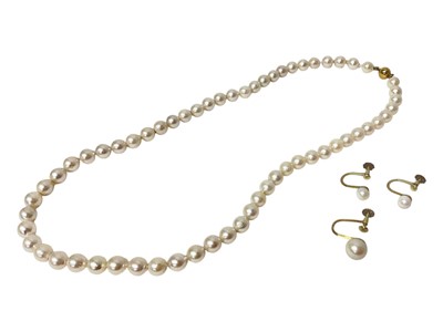 Lot 23 - Cultured pearl single string necklace with 9ct gold clasp and three cultured pearl screw back earrings in 14ct gold settings