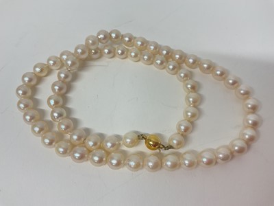Lot 23 - Cultured pearl single string necklace with 9ct gold clasp and three cultured pearl screw back earrings in 14ct gold settings