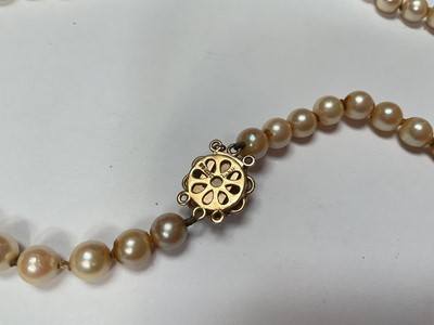 Lot 117 - Cultured pearl single string necklace with a 9ct gold seed pearl and peridot flower head cluster clasp, 41.5cm long
