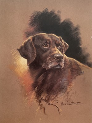 Lot 251 - Mick Cawston (1959-2006) signed limited edition print, Chocolate Labrador, 1994, 215/850, 24cm x 17.5cm, mounted in glazed frame