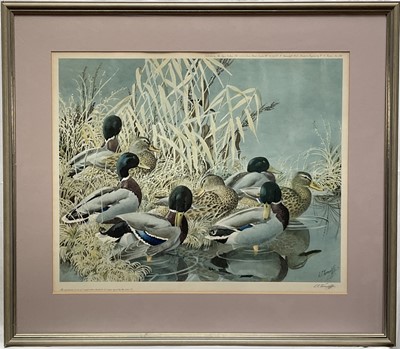 Lot 983 - *Charles Frederick Tunnicliffe (1901-1979), four signed limited edition prints - Wildfowl, from editions of 500, published by The Tryon Gallery