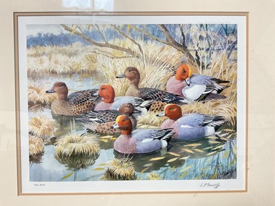Lot 5265 - Charles Frederick Tunnicliffe (1901-1979), ducks, limited edition print of 300, signed in pencil, 37cm x 28cm