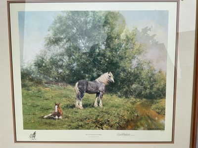 Lot 5268 - David Shepherd (1931-2017), two limited edition prints of horses, signed in pencil