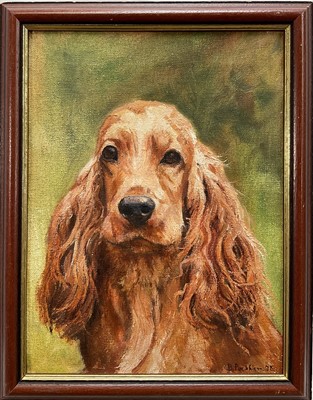 Lot 266 - B.A.Peckham, oil on canvas, A spaniel, signed and dated '78, 30cm x 22cm, in painted frame