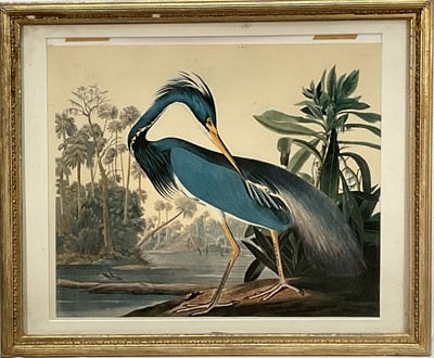 Lot 311 - Framed print of the Louisiana Heron from Audubon's The Birds of America, 34cm x 40cm, glazed gilt frame