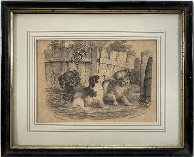Lot 312 - 19th century lithograph after Stephen Taylor (fl. 1817-1849) by Nathaniel Whittock, Spaniels in a domestic setting, 15cm x 22cm, glazed frame