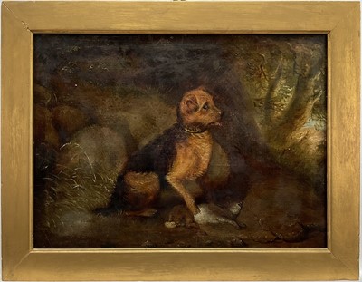 Lot 976 - English School, 19th century, oil on canvas - Terrier and a Rabbit, 30.5cm x 40.5cm, in gilt frame