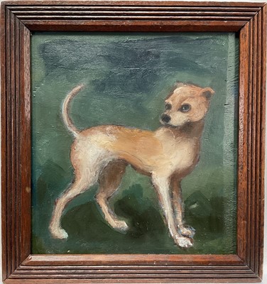 Lot 1035 - English School, oil on panel - portrait of a dog, 17cm x 15.5cm, in moulded frame