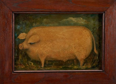 Lot 1015 - English School, oil on panel - A Prize Pig, 18.5cm x 28.5cm, in wooden frame