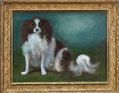 Lot 1066 - English School, oil on panel - A Seated Spaniel, 30cm x 40.5cm, in gilt frame