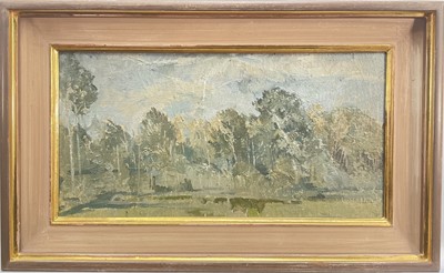Lot 12 - 20th century oil on board, Wooded Landscape near Susa, 17.5cm x 34.5cm, signed PG, framed