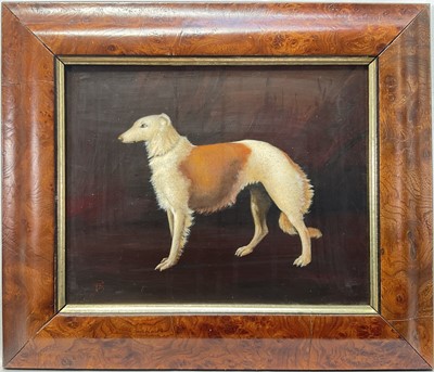 Lot 54 - English School, oil on board of a Borzoi dog, 20cm x 25cm, in maple veneered frame