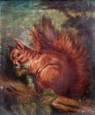 Lot 1133 - English School, 19th century, oil on canvas - A Red Squirrel, 30cm x 24cm, framed