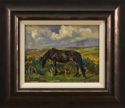 Lot 1018 - *Kieron Williamson (b. 2002) oil on canvas, In the Gorse, signed, 18cm x 23.5cm, framed