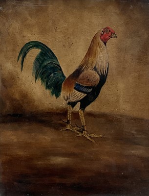 Lot 972 - English School, oil on board - A Fighting Cock, 43cm x 33cm, in glazed oak frame