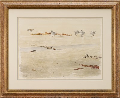 Lot 971 - *William Neill, contemporary, watercolour - Sandpipers on the Shore, signed, 35cm x 48cm, in glazed gilt frame