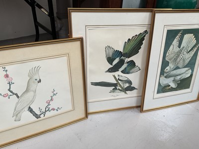 Lot 5156 - Group of modern framed bird prints, including birds of America