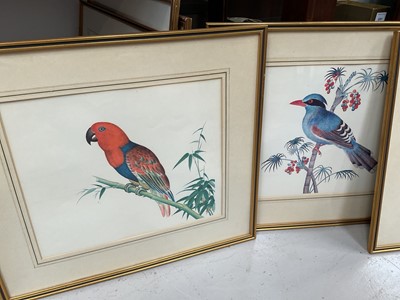 Lot 5156 - Group of modern framed bird prints, including birds of America