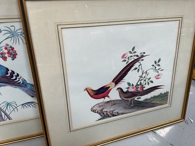 Lot 5156 - Group of modern framed bird prints, including birds of America
