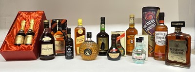 Lot 31 - Twelve mixed bottles to include: Hennessy VSOP, Bundaberg Rum, Sandeman port, two boxed half bottles of Jacqart champagne and others (12)