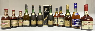 Lot 58 - Twelve bottles to include: Drambuie, Remy Martin Cognac, Martell Cognac and others