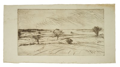 Lot Harry Becker (1865-1928) etching, Expansive Landscape, 16 x 30cm