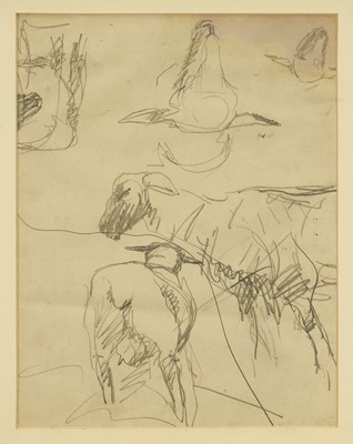 Lot Harry Becker (1865-1928) graphite, Studies of a Sheep, 26.5 x 20cm, glazed frame