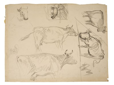 Lot Harry Becker (1865-1928) graphite, Cattle Studies, 40 x 53cm, unframed