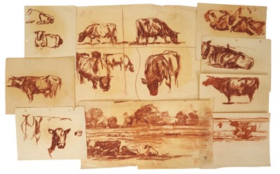Lot Harry Becker (1865-1928) sanguine on greaseproof paper, Cattle Studies, 29 x 37cm, together with a group of sanguine sketches of cattle, all unframed. (9)