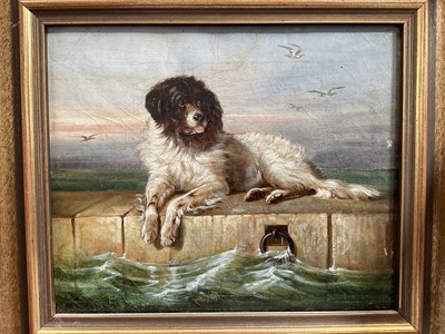 Lot 5175 - 19th century oil on canvas study of a dog on a quayside, 20.5cm x 25cm