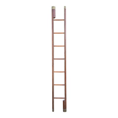 Lot 5302 - Unusual metamorphic library steps