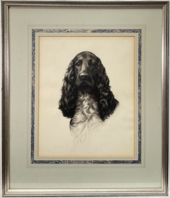 Lot 26 - Fine English School ink and watercolour portrait of a spaniel, signed with initials E.J.H., 30cm x 24cm, in glazed frame