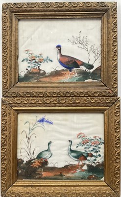 Lot 23 - Pair of antique Chinese painting on rice paper depicting exotic birds, 16cm x 21cm, in glazed gilt frames
