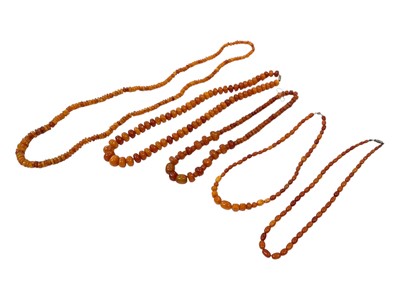 Lot 164 - Five vintage amber bead necklaces, various sizes