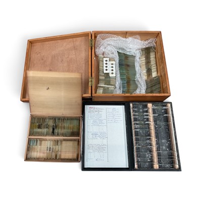 Lot 681 - Three cases containing a collection of assorted glass microscope slides, (1 box)