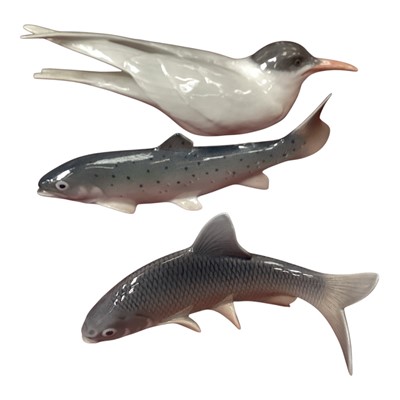 Lot 2233 - Royal Copenhagen porcelain model - Arctic Tern, no. 827, together with two fish (3)