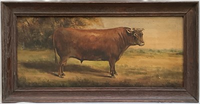 Lot 142 - English School, oil on board, Prize Short Horn Bull, 18cm x 40.5cm, glazed frame