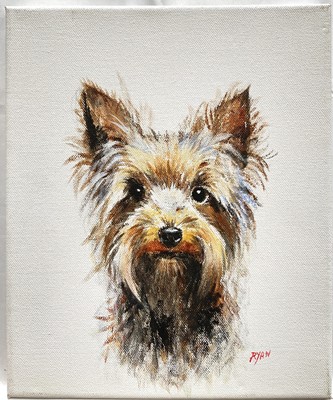 Lot 75 - John Ryan, acrylic, A Yorkshire Terrier, signed, 30cm x 25cm, unframed