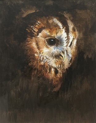 Lot 145 - English School, mixed media, A Tawny Owl, 24cm x 18.5cm, glazed frame
