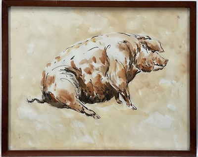 Lot 70 - English School, watercolour, Portrait of a Pig, 38cm x 49cm, glazed frame