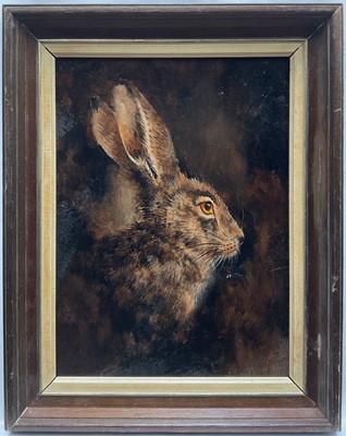Lot 144 - English School, oil on board, A Brown Hare, 28cm x 21cm, framed